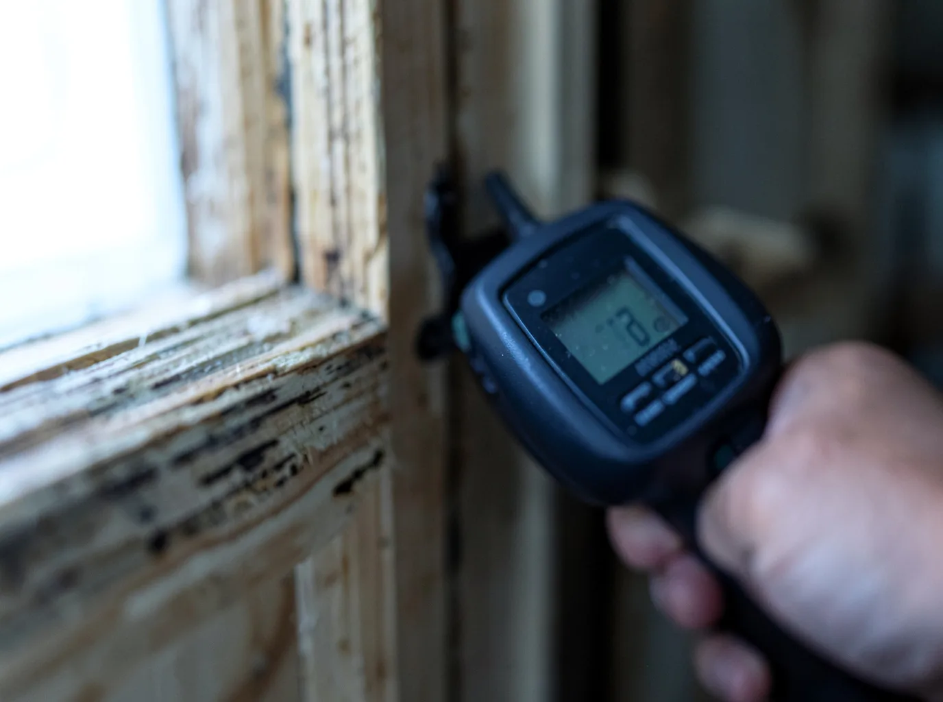 Moisture Inspection And Documentation in Tiptonville, TN